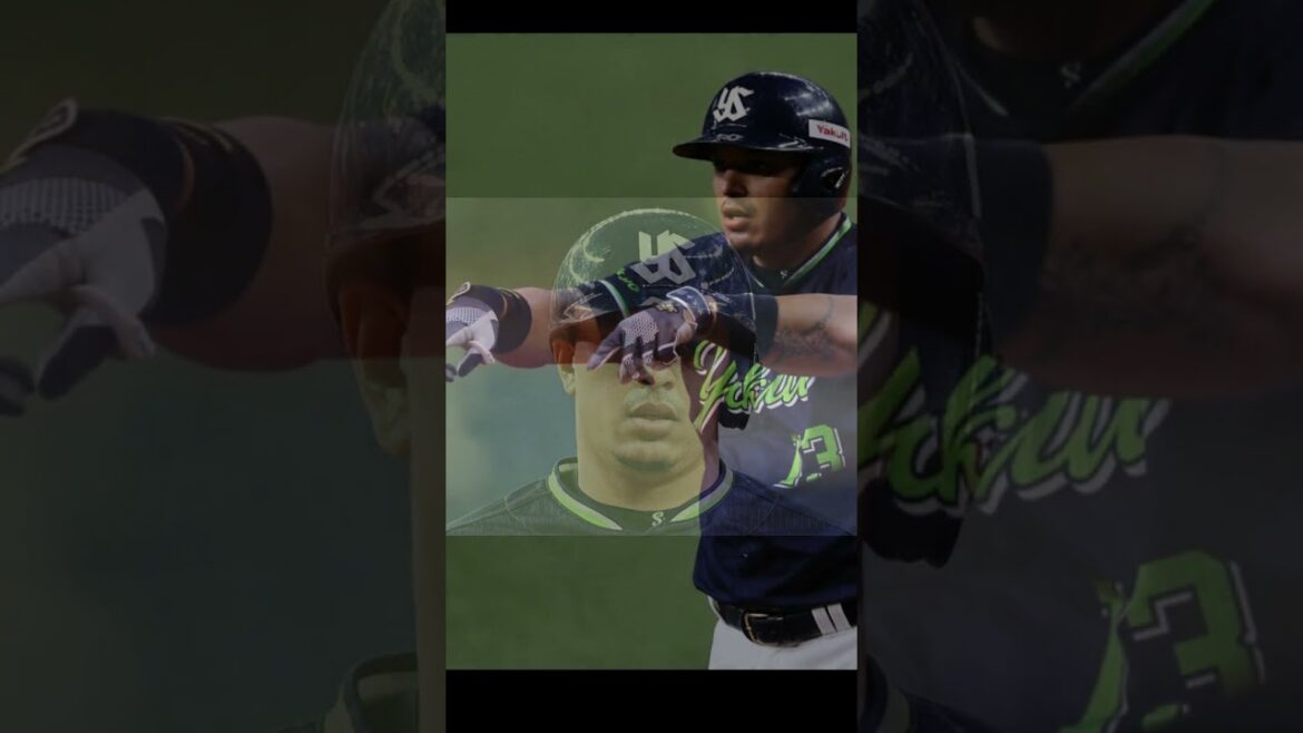 また誤審!? リクエストの意味なし！明らかなフェアがファウル判定… #東京ヤクルトスワローズ #プロ野球 #プロ野球 #野球#誤審