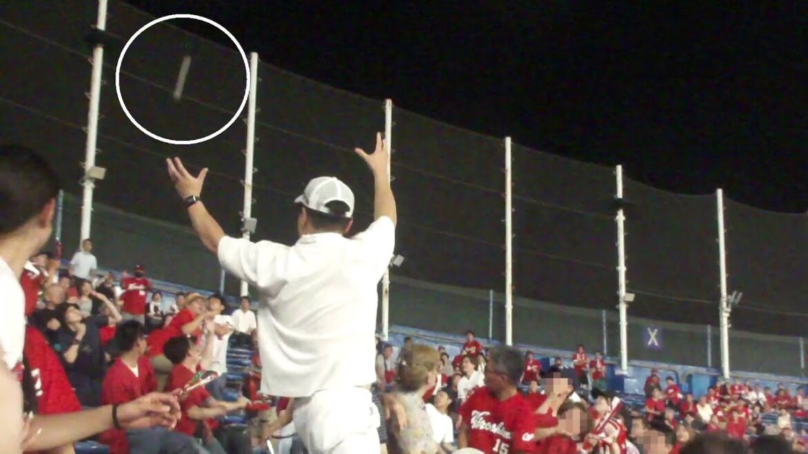 ヤクルト 赤羽由紘 あわやホームランの大ファール 惜しい当たり　ヤクルト vs 広島　2025年8月31日(日)　神宮球場