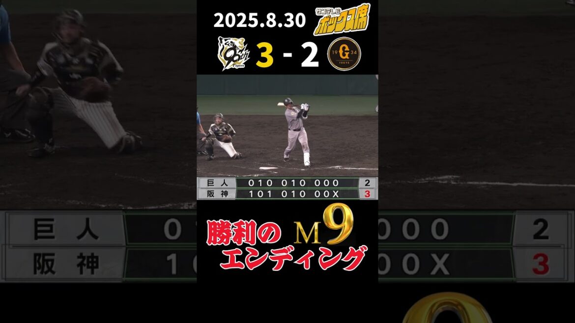 【8/30 阪神－巨人 勝利のエンディング】マジックはいよいよ一桁の9になりました！（2025年8月30日 阪神ー巨人）  #サンテレビボックス席 #shorts