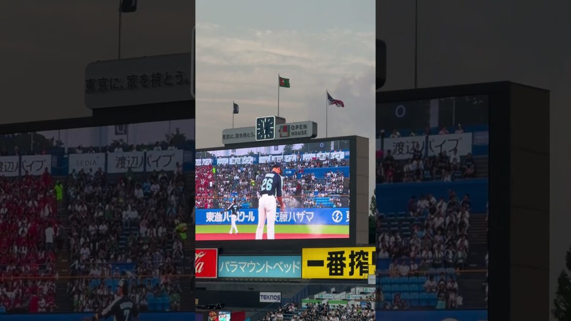 ガンバレ山野太一選手！ヤクルトスワローズ