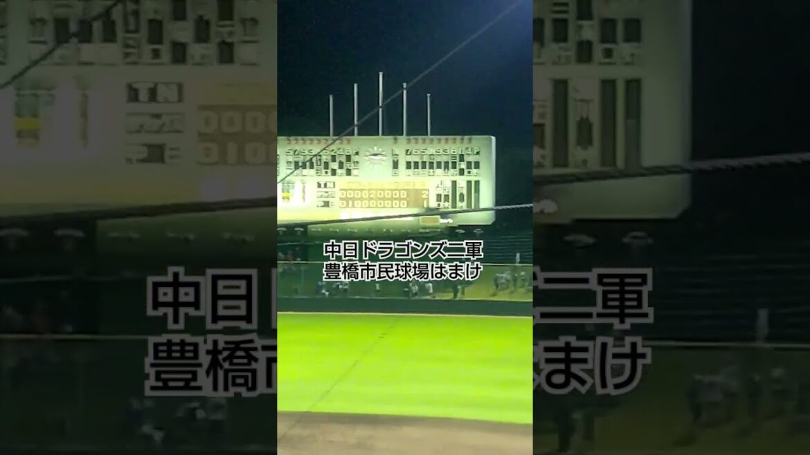 中日ドラゴンズ二軍 豊橋市民球場はまけ