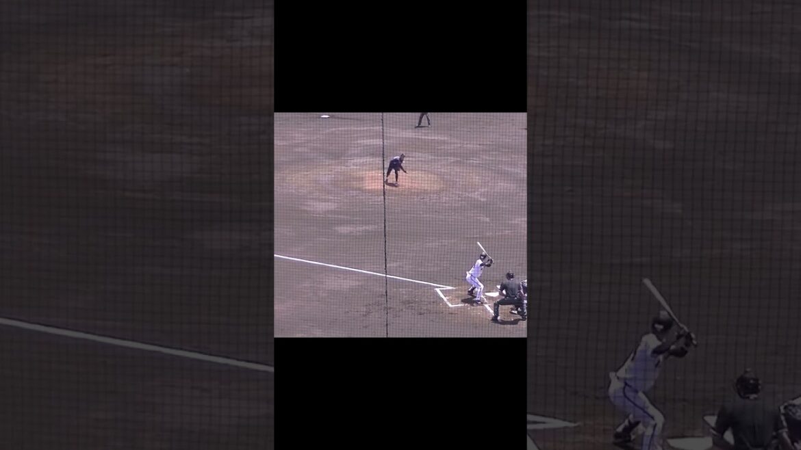 ジャイアンツ鈴木大和が三盗決める村山源の打席【読売ジャイアンツ3軍 対 千葉スカイセイラーズ2024年5月17日】