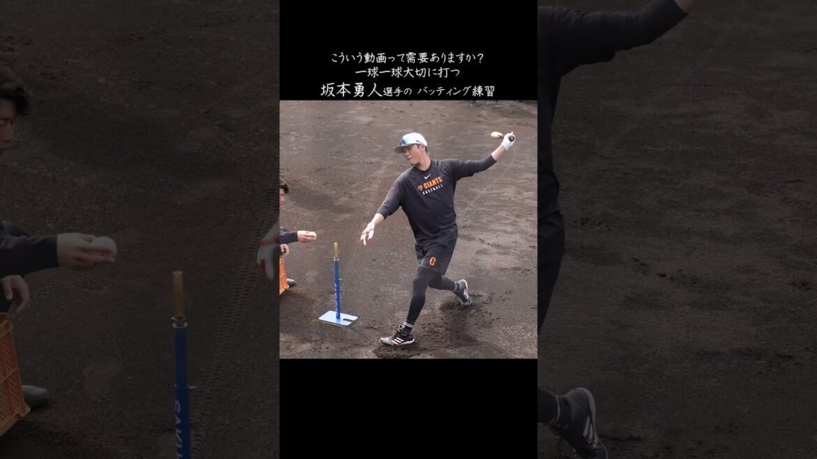 【巨人】坂本勇人選手のバッティング練習 #shorts #baseball #sports #ジャイアンツ #巨人 #プロ野球