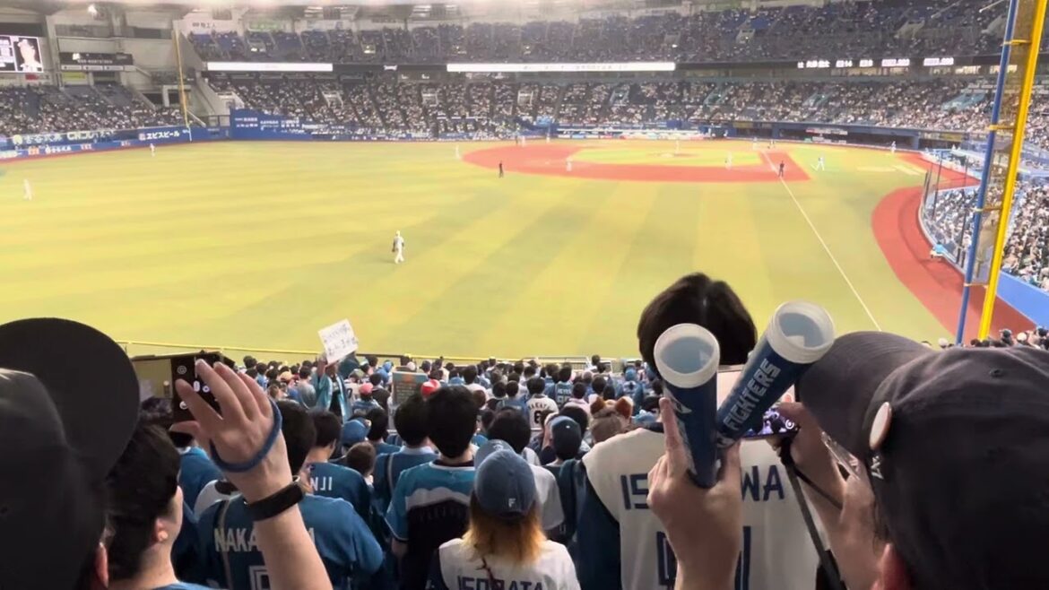 【新応援歌】矢澤宏太 選手（日本ハムファイターズ）