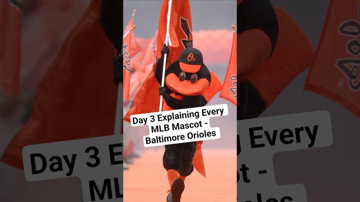 Day 3 of Explaining Every MLB Mascot - The Baltimore Orioles' "Oriole Bird" #MLB #baseball #mascots