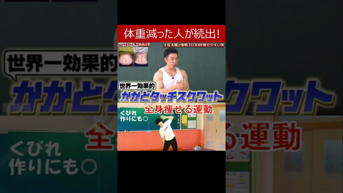 【なかやまきんに君紹介 世界一効果的 かかとタッチスクワット】合間にできる全身痩せる運動 くびれ作りにも最適な脂肪燃焼ダイエットメニュー #ダイエット #痩せる運動 #なかやまきんに君