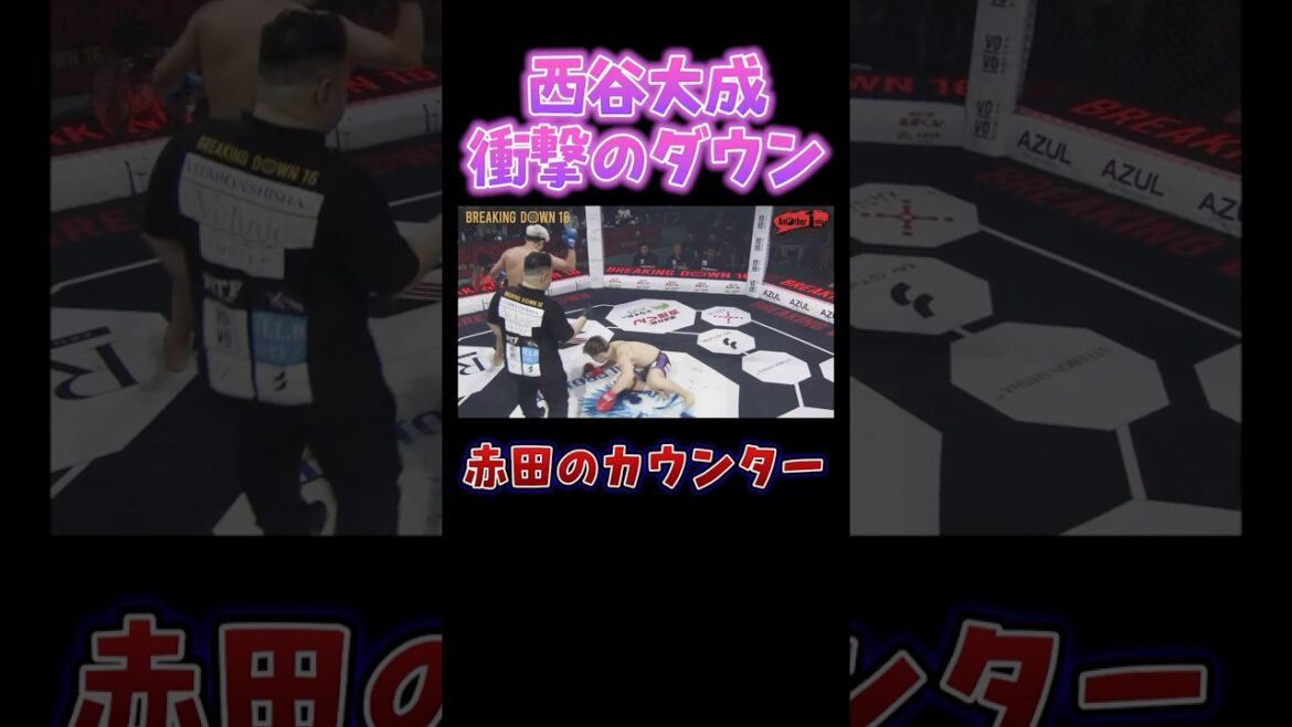 初参戦の赤田が西谷に勝利#shorts #ブレイキングダウ
