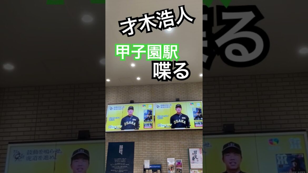 #阪神応援  #才木浩人 #甲子園駅 #阪神タイガース  #猛虎 #hanshin #アレ#優勝 #マジック#tigers #koshine #喋る