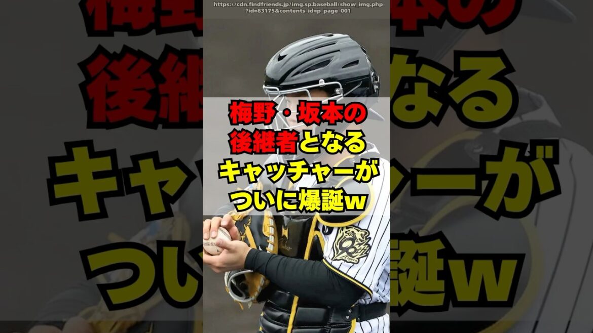 阪神タイガース、ついに梅野・坂本の後継者が見つかるｗ