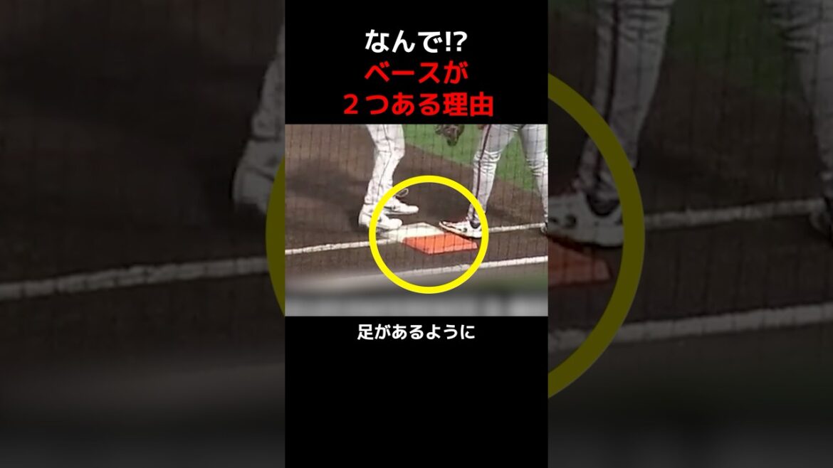 ベースが２つ！？その理由とは？