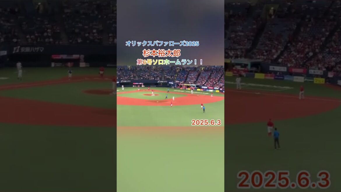 杉本裕太郎（B）第6号ソロホームラン‼️2025.6.3 #杉本裕太郎 #オリックスバファローズ #ホームラン