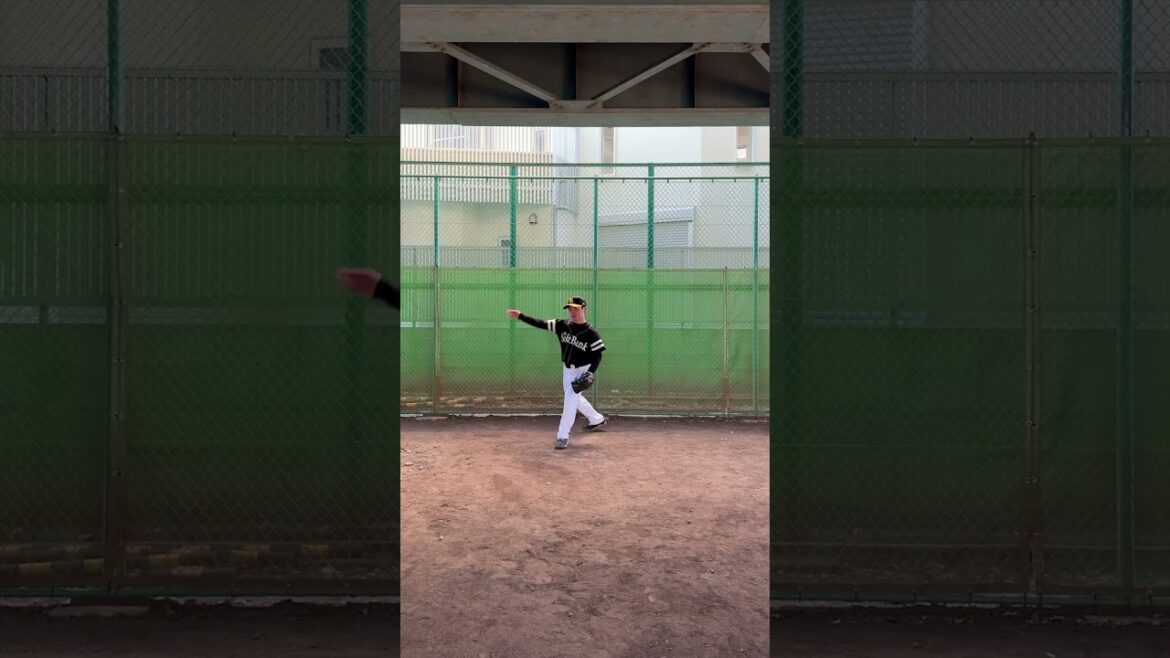 パワプロの野手投げみたいなのに160㎞でバンバン抑える投手