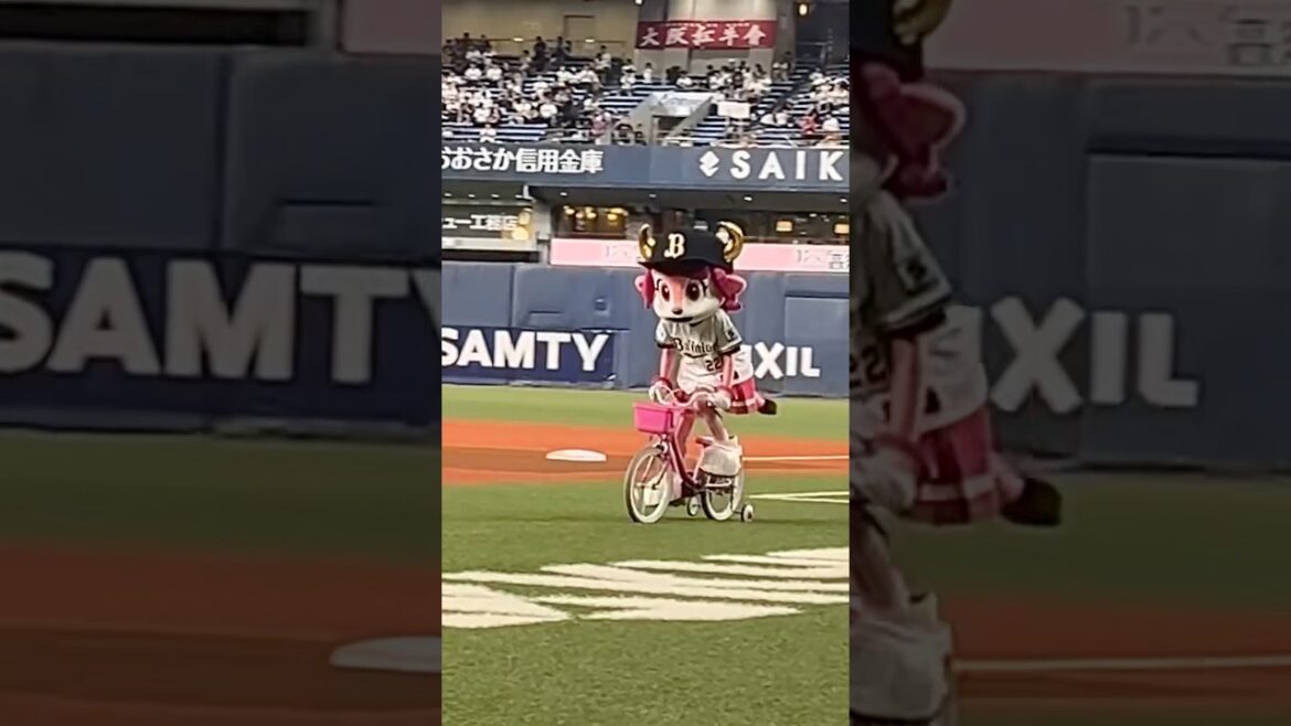 爆走ベルちゃん🔔 #バファローベル #爆走 #オリックス #京セラドーム大阪 #shorts