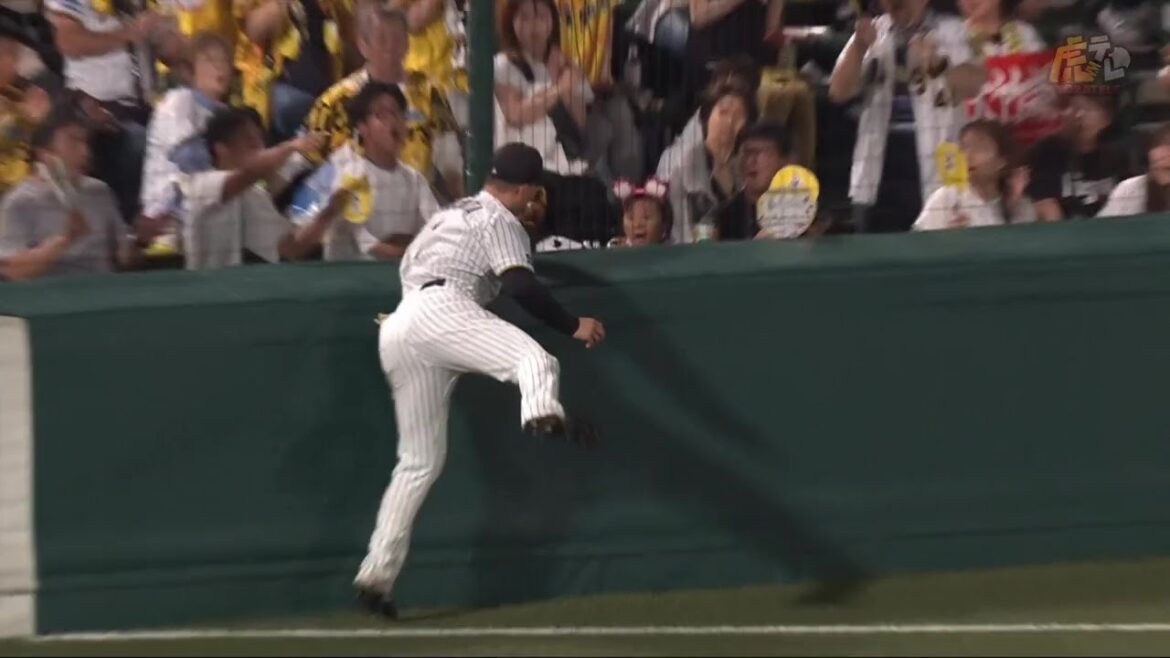 【ナイスファイト】5回表 #森下翔太 選手がライトファウルフライをフェンスに激突しながらもナイスキャッチ！【2025/9/5 Ｔ－Ｃ】