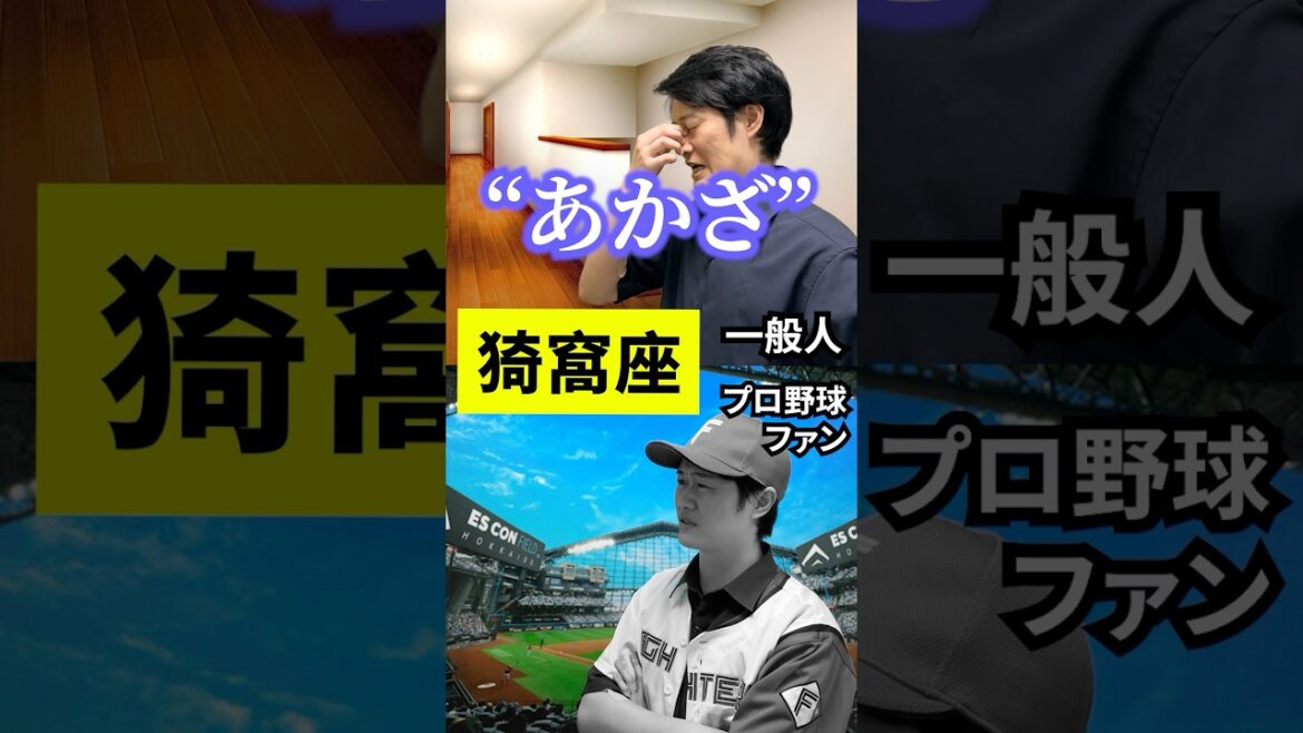 一般人とプロ野球ファンの違い