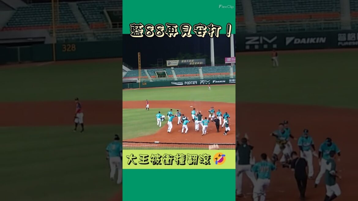 藍88再見安打！誰讓大王翻滾了🤣 #台鋼雄鷹 #王柏融 #大王 #藍寅倫 #中華職棒 #cpbl #shorts