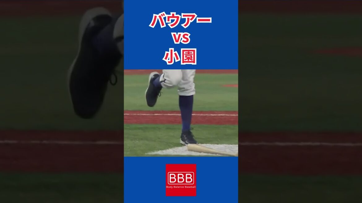 バットを蹴るバウアーvs煽る小園💣#shorts #バウアー #小園海斗 #trevor #広島東洋カープ #横浜denaベイスターズ