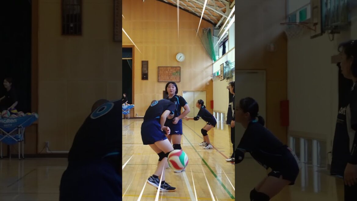 【バレーボール】美鈴が丘女子バレーボール部/危機一髪!練習中あるある 【バレーボール】美鈴が丘女子バレーボール部/危機一髪!練習中あるある