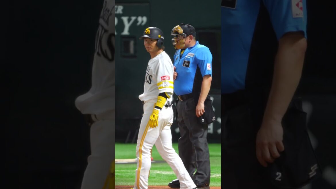 Sh #30 佐藤直樹▶︎登場曲『ファイト！！／ハルカミライ』▶︎福岡ソフトバンクホークス #shorts