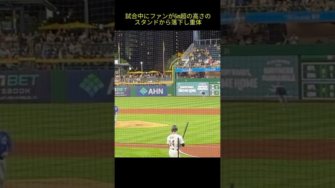 試合中にファンが6m超の高さのスタンドから落下し重体 #MLB