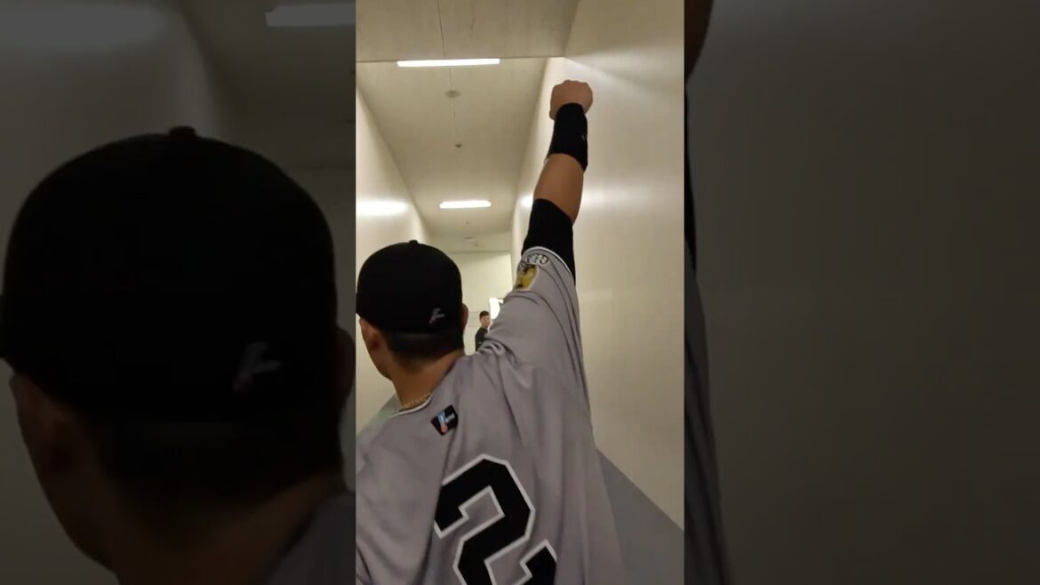 「奇跡！奇跡が待ってた！」吉川尚輝が最終回に決勝打！ #shorts