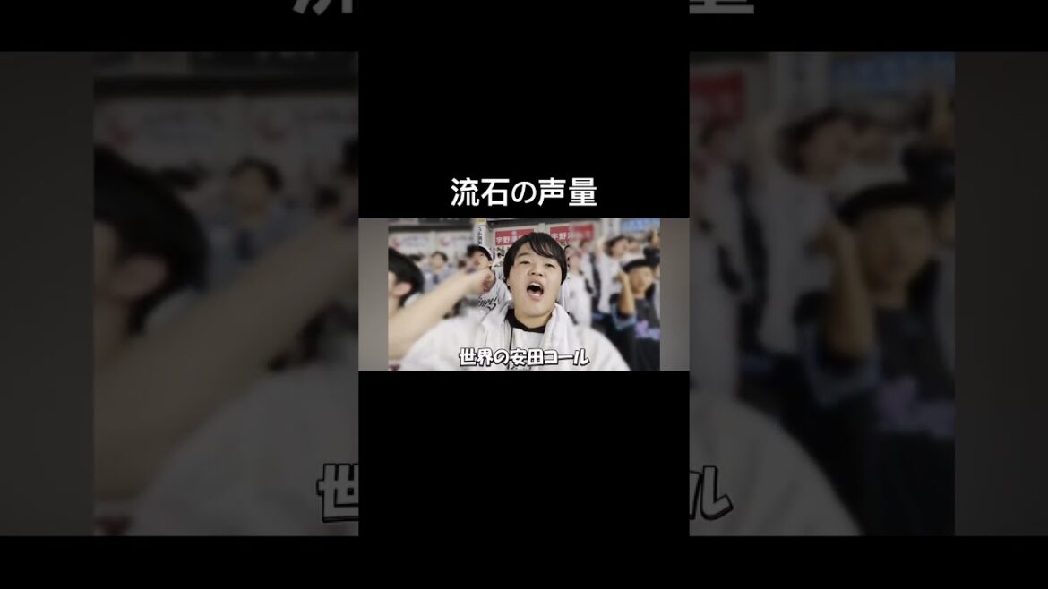 やっぱり安田コールは格別#youtube #shorts #千葉ロッテマリーンズ #安田尚憲 #声量#応援 #安田コール#現地観戦