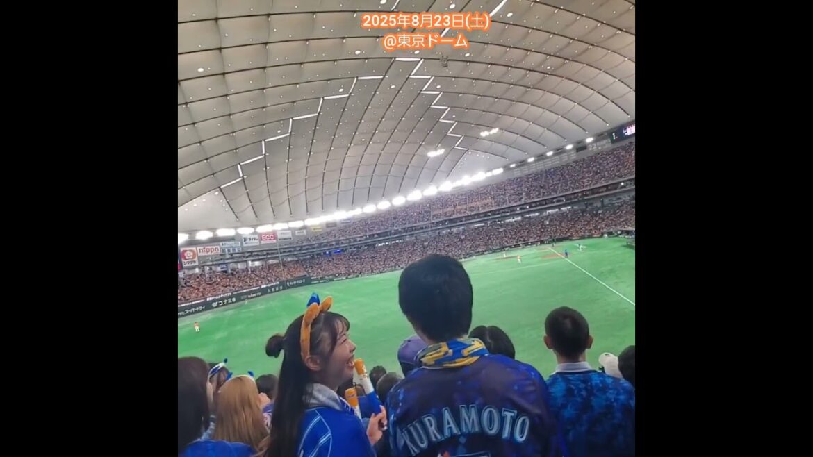 20250823【現地】ジャンパイアにお怒りの横浜DeNAベイスターズファン　#shorts　ﾍﾞｲﾌｧﾝ@東京ﾄﾞｰﾑ･外野ﾚﾌﾄ