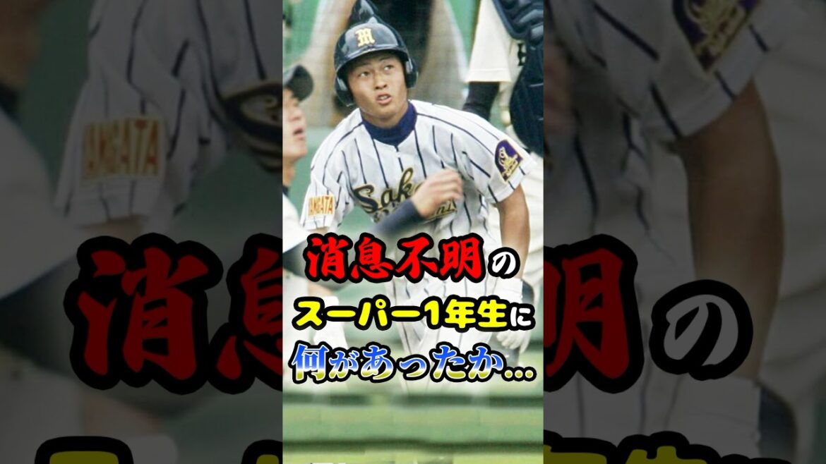消息不明の“スーパー1年生”に何があったのか...に関する雑学　#野球 #高校野球 #プロ野球
