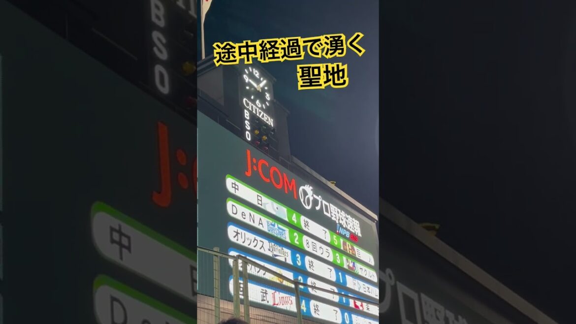 #阪神タイガース #阪神甲子園球場 #tigers #hanshintigers #阪神応援 #プロ野球 #甲子園 #hanshin