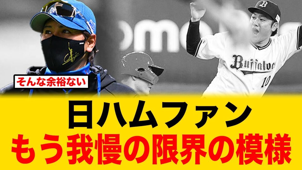 日ハムファンもう限界の模様、新庄監督はなぜリクエストを無視したのか【北海道日本ハムファイターズ】
