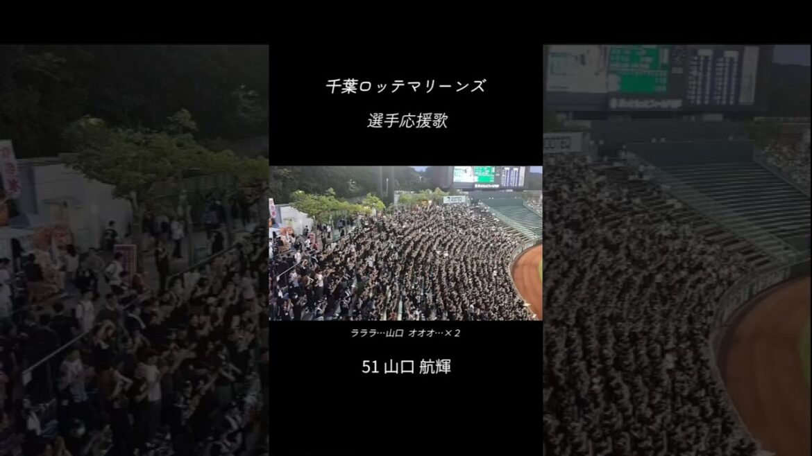 【歌詞付き】千葉ロッテ　選手応援歌｜山口 航輝