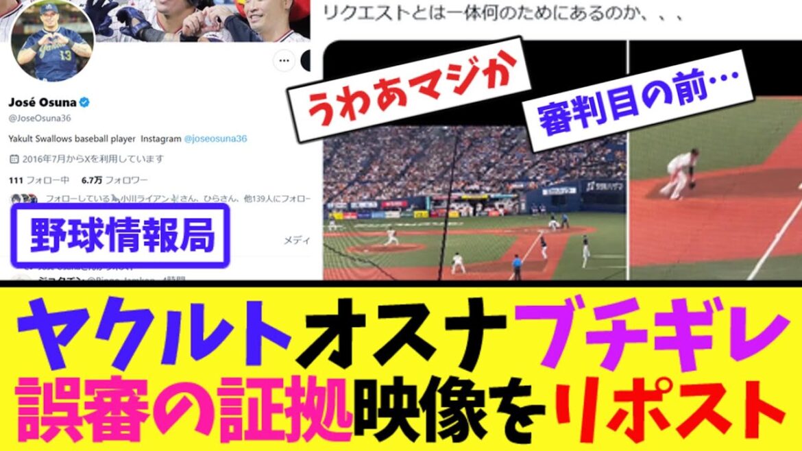 ヤクルト・オスナがブチギレ...誤審の証拠映像をリポスト【ネット情報局】