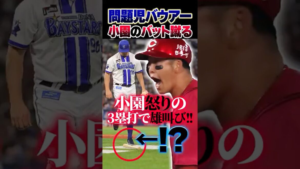 広島カープ小園海斗、横浜DeNAバウアーにバットを蹴られる→怒りのスリーベースで雄叫び #小園海斗 #バウアー #カープ