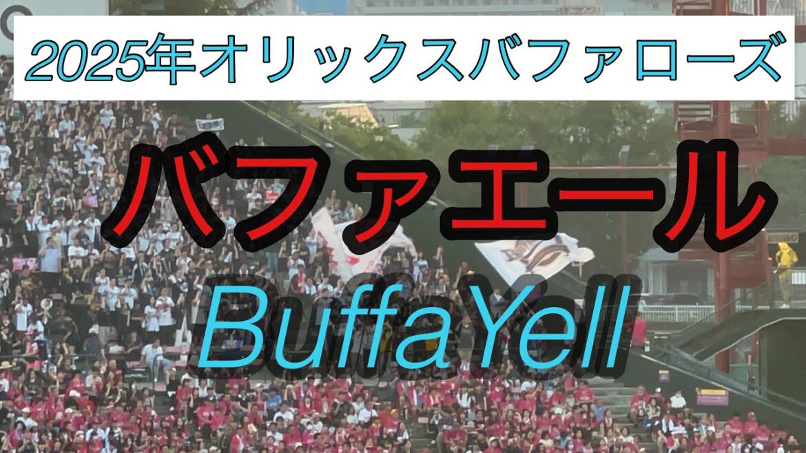 2025年オリックスバファローズ応援　バファエール