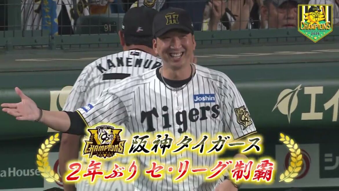 【超速報！】阪神タイガースNPB史上最速リーグ優勝決定場面と藤川監督胴上げ！（2025年97日 阪神ー広島）  #サンテレビボックス席 #shorts