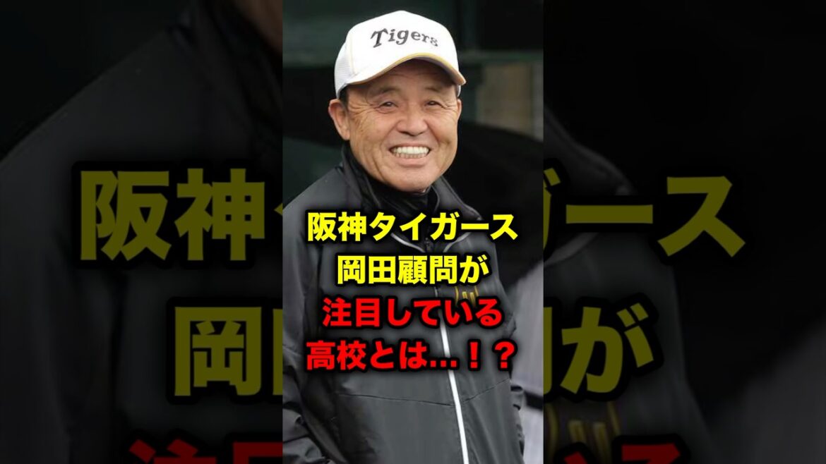 阪神タイガース、岡田顧問が注目している高校とは…!? 阪神タイガース、岡田顧問が注目している高校とは…!?