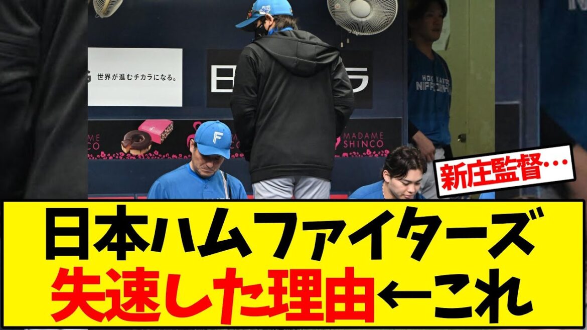 【パリーグ】日本ハムファイターズが失速した理由←これ【野球反応集】