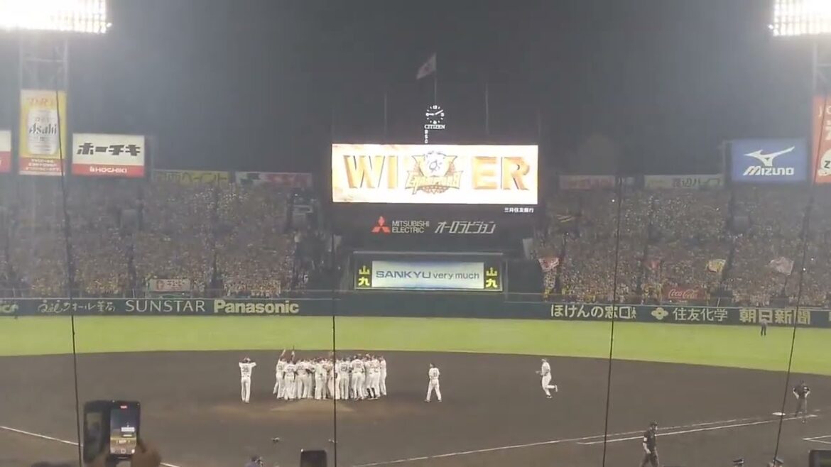 阪神タイガース 2年ぶりのリーグ優勝の瞬間　#甲子園 #阪神タイガース　#藤川監督 #プロ野球 #sports #baseball