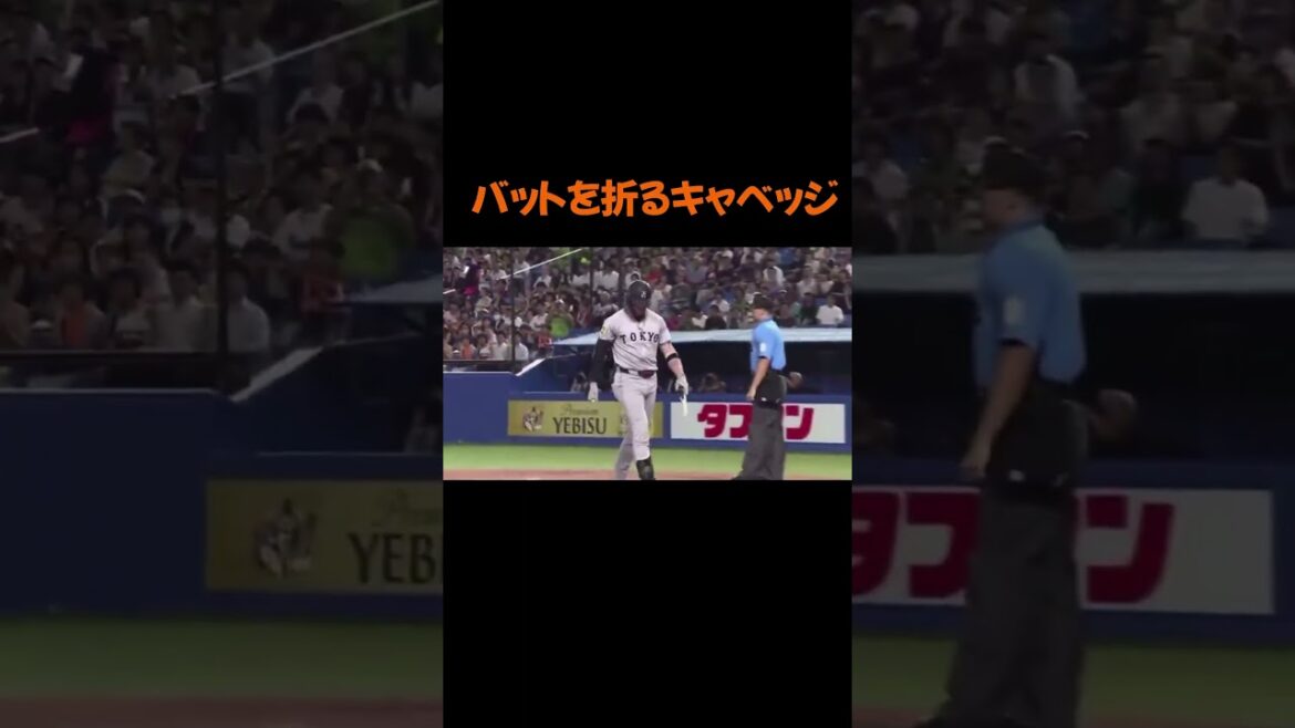 バットを折るキャベッジ #プロ野球 #東京読売ジャイアンツ バットを折るキャベッジ #プロ野球 #東京読売ジャイアンツ