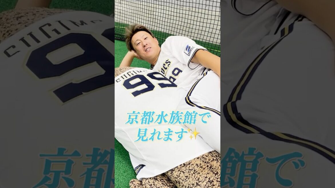 ORIX-Buffaloes: 9月9日は #オオサンショウウオの日 #オオ三勝ウォーーー!#京都水族館 #オオサンショウウオPR隊 #最後まで熱く#Bs2025 #オリックス #shorts 9月9日は #オオサンショウウオの日 #オオ三勝ウォーーー!#京都水族館 #オオサンショウウオPR隊 #最後まで熱く#Bs2025 #オリックス #shorts