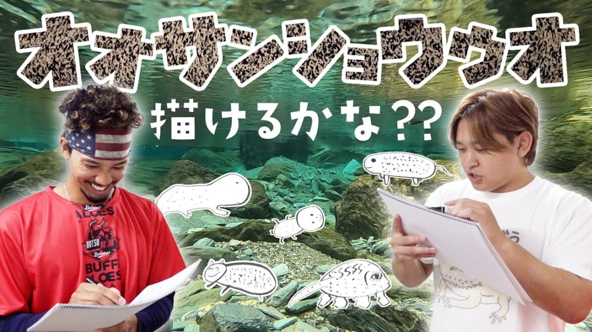 ORIX-Buffaloes: オオサンショウウオ描けるかな?? オオサンショウウオ描けるかな??