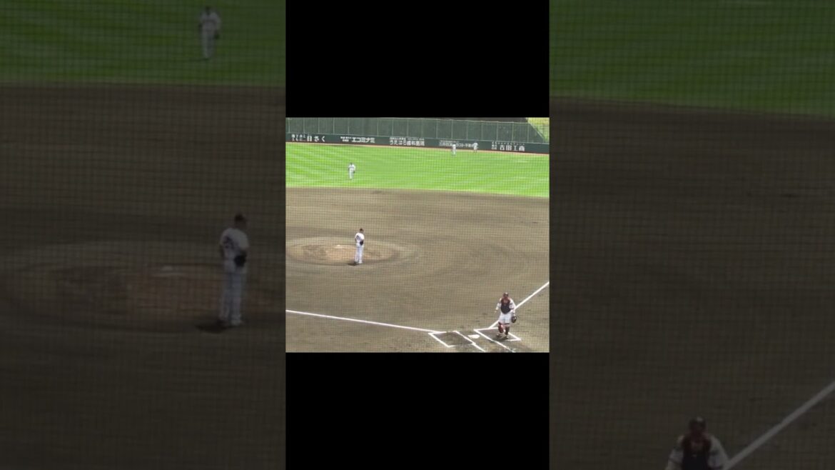 増田珠がグリフィンから逆方向へホームラン2024年5月29日 読売ジャイアンツ対ヤクルトスワローズ