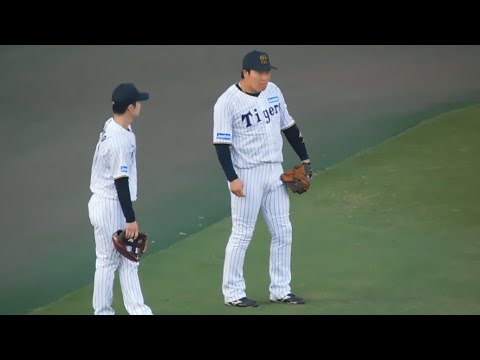 【リラックスして準備】優勝へ向けキャッチボールを行う阪神ナイン 【リラックスして準備】優勝へ向けキャッチボールを行う阪神ナイン