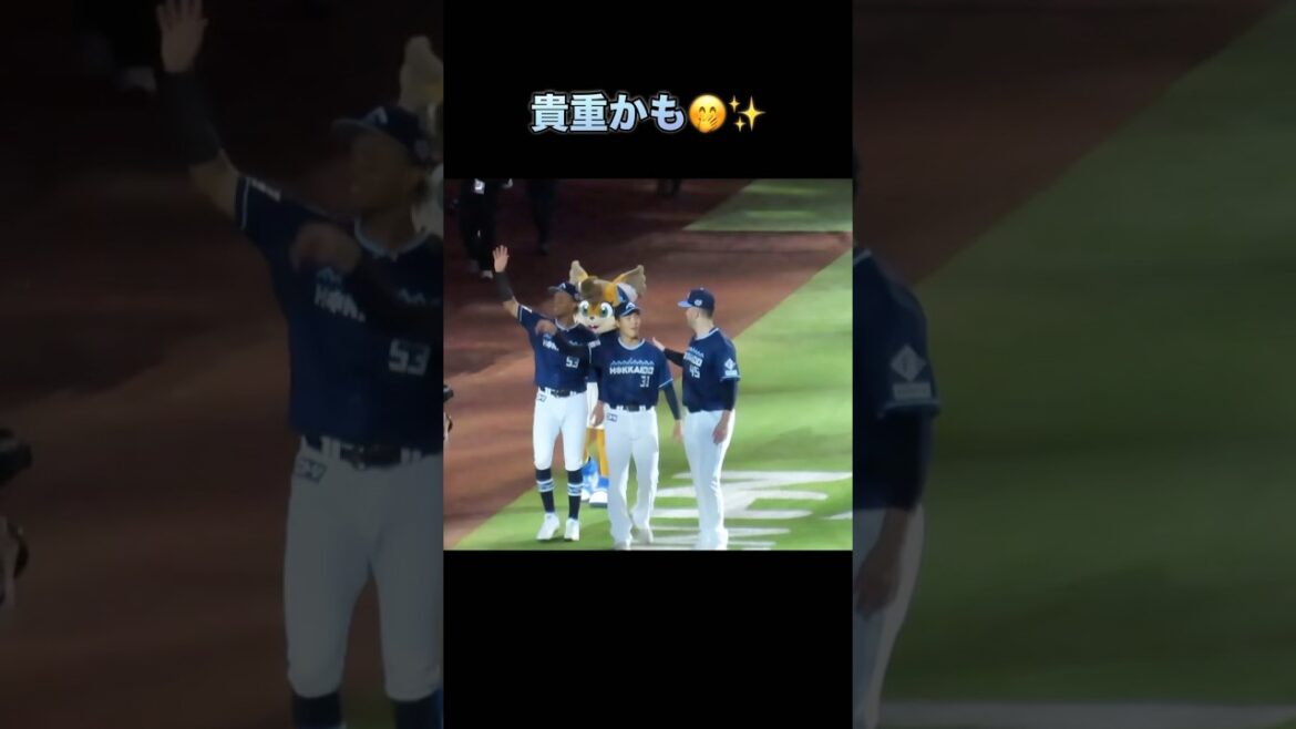 めちゃ貴重な３ショットかも✨#柴田投手#水谷選手#バーヘイゲン投手