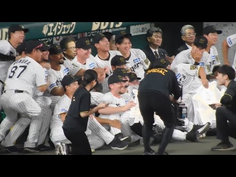 【監督そっちのけ】優勝ロゴパネルを持って記念撮影する阪神ナイン 【監督そっちのけ】優勝ロゴパネルを持って記念撮影する阪神ナイン