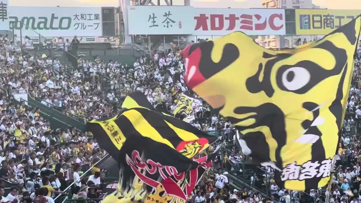 【全国各地の応援団が集結】優勝を後押しするため全国から応援団が集結 様々な旗が甲子園を舞う