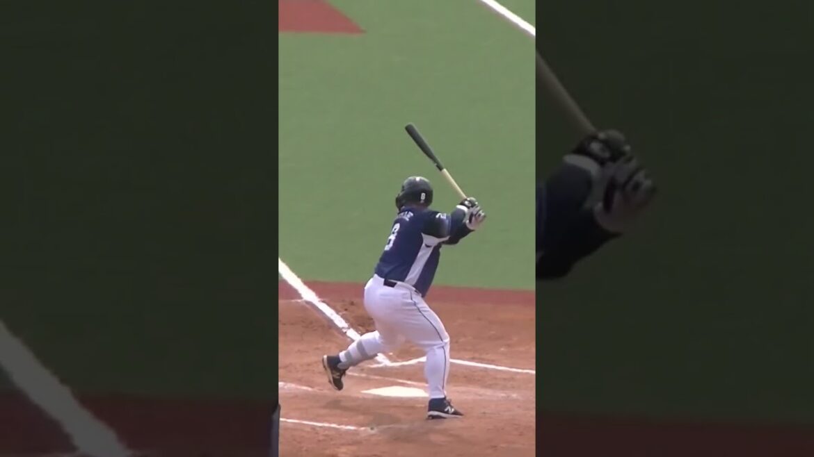 ライオンズ渡部健人の打撃フォーム＜2軍・ヤクルトスワローズ対 西武ライオンズ  2024年5月26日＞