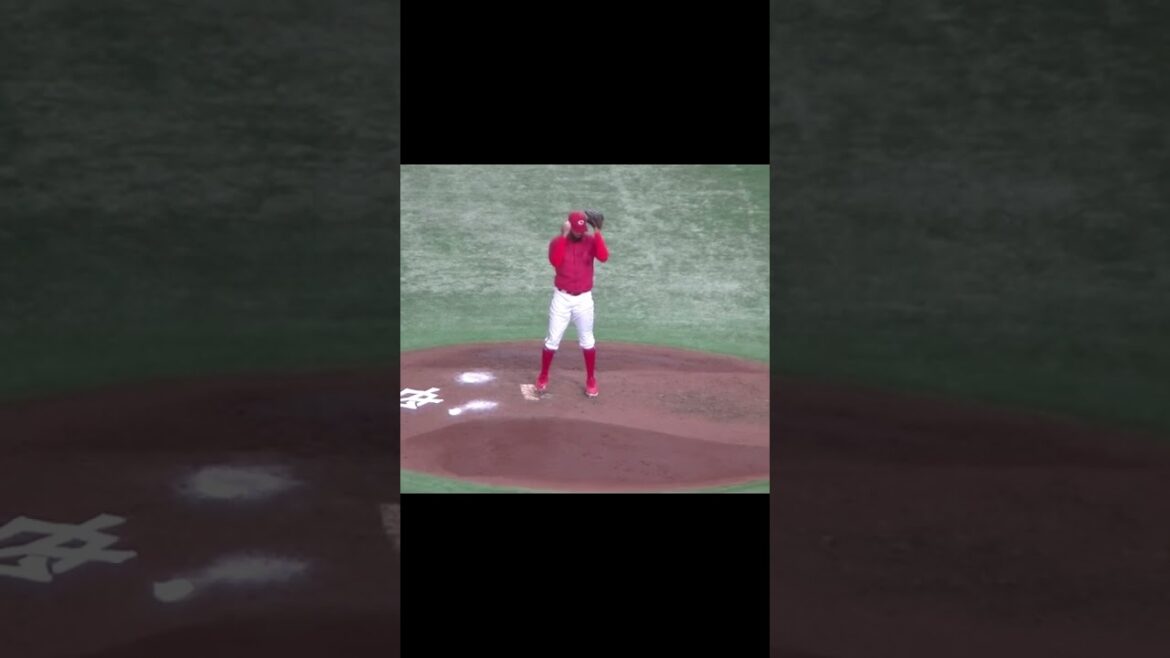 【野球選手フォーム集】コルニエルの投球フォーム（2024年6月28日読売ジャイアンツ対 広島カープ）