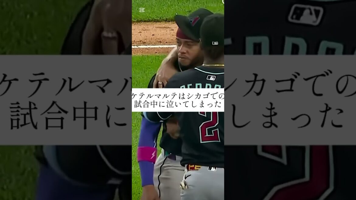ケテルマルテへの発言に対して、ホワイトソックス球団の粋かつ最大級の謝罪🙇　#メジャーリーグ #mlb #喧嘩#謝罪