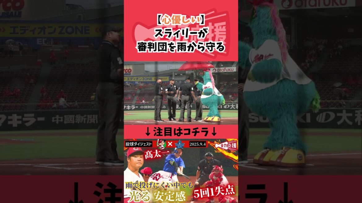 心優しきスラィリー！審判団を雨から守る！【球団認定】カープ全力応援チャンネル
